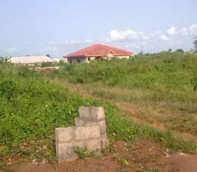 Diamond Estate , Magodo, _2